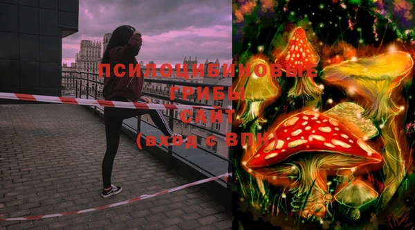 МДПВ Верхний Тагил