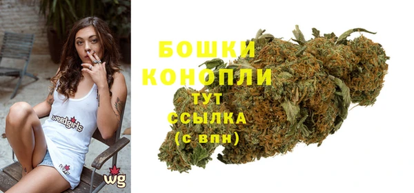 МДПВ Верхний Тагил